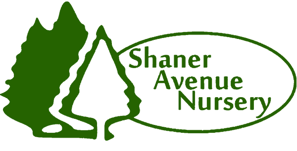 Shaner Avenue Nursery